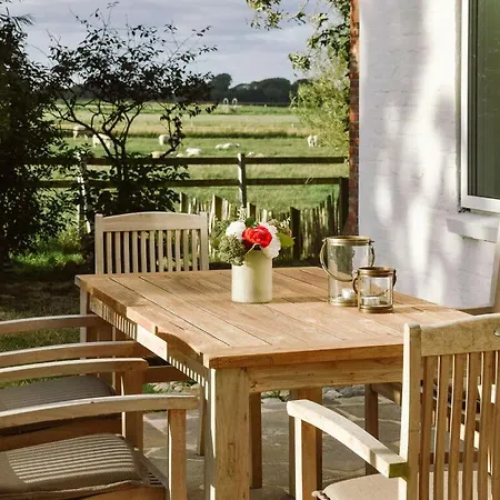 Ferienhaus House - West *